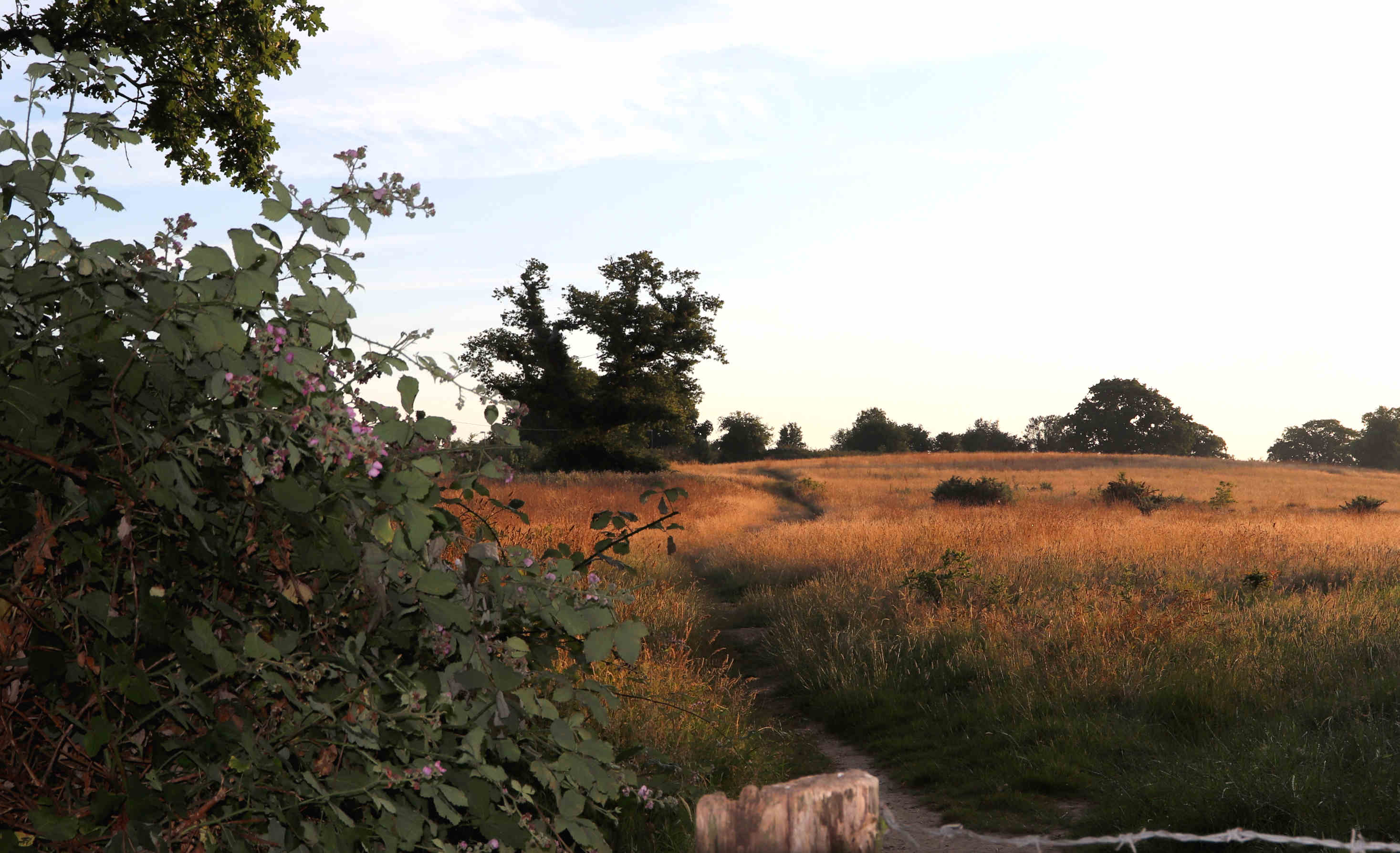 Public footpath leading to Herstmonceux village